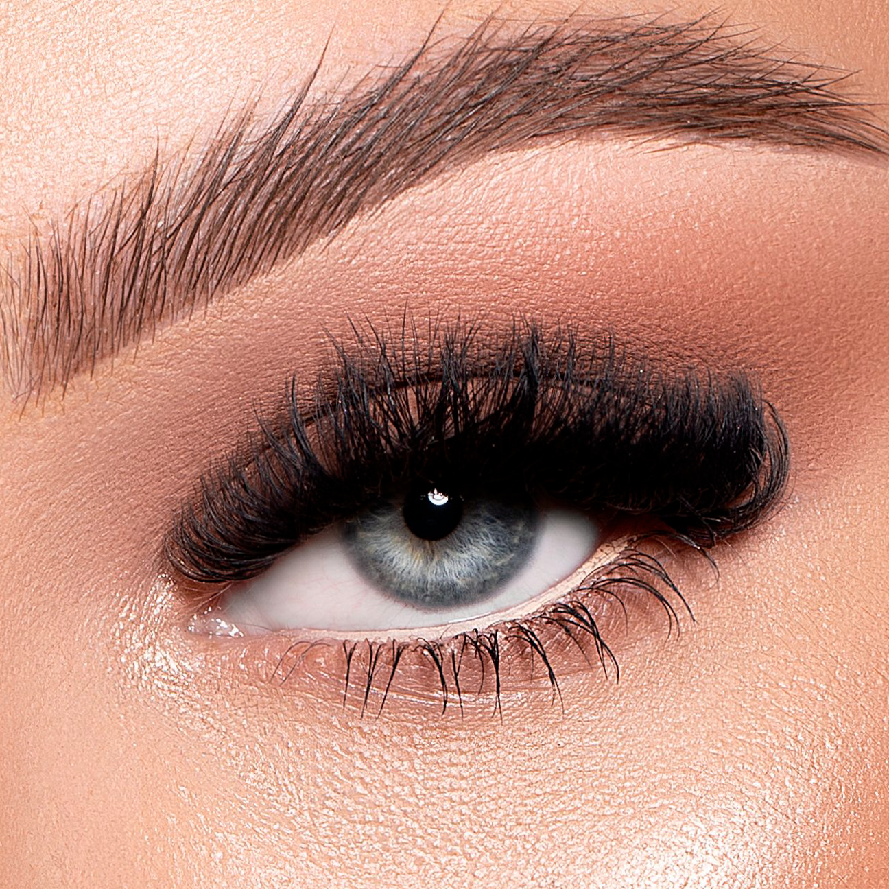 Stacy Lash - Wholesale False/Fake Eyelashes - Stacy Lash Extra Strong Evolution Eyelash Extension Glue - 5ml2