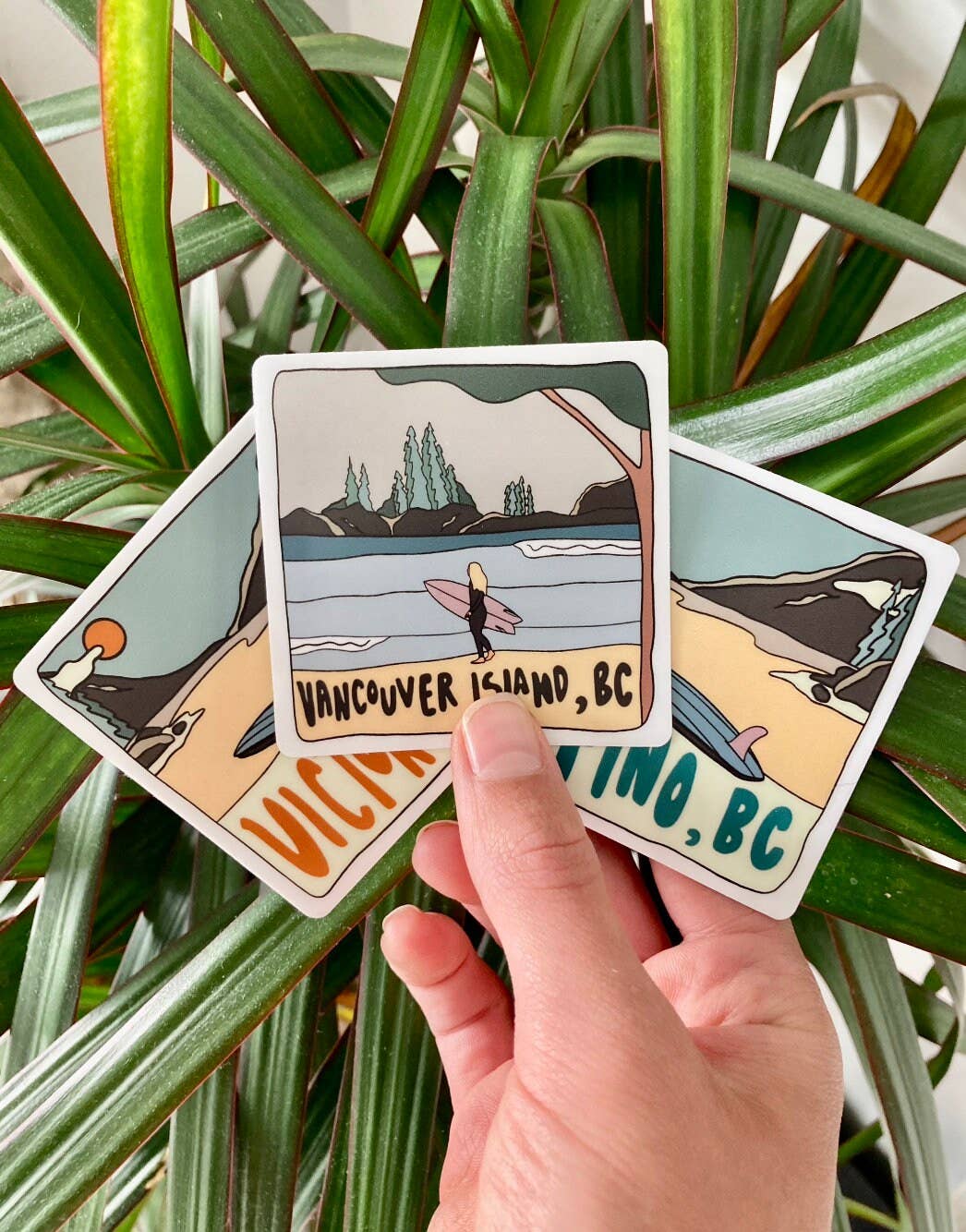 Wavy Baby Design – wholesale Sticker – Victoria - "Beach Break"3