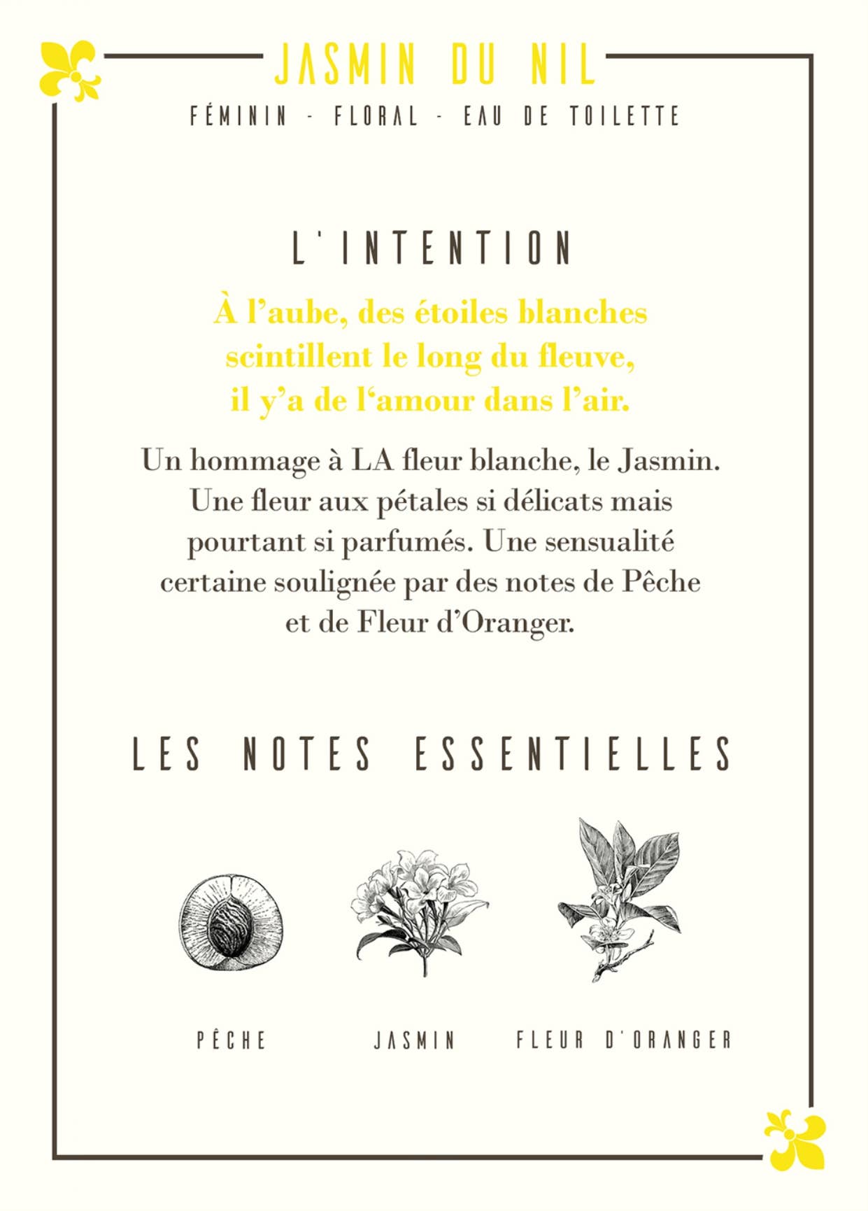 Les Parfums D'Uzège – wholesale Perfume/eau de toilette – Nile Jasmine Eau de Toilette - 50ml2