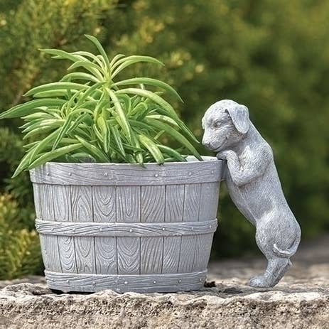 Puppy Bucket Planter for wholesale by Roman