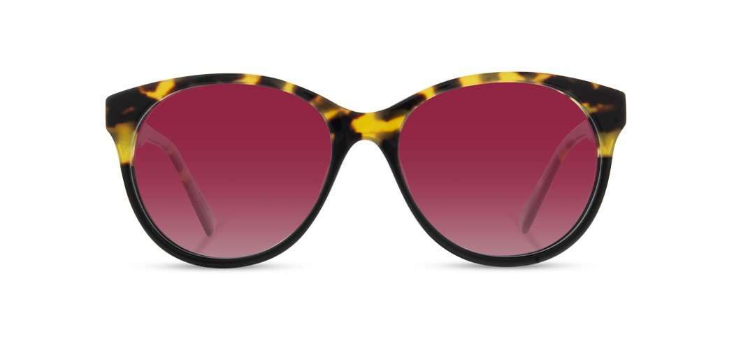 Shwood Eyewear - Wholesale Sunglasses - Women's - Madison Acetate Sunglasses1