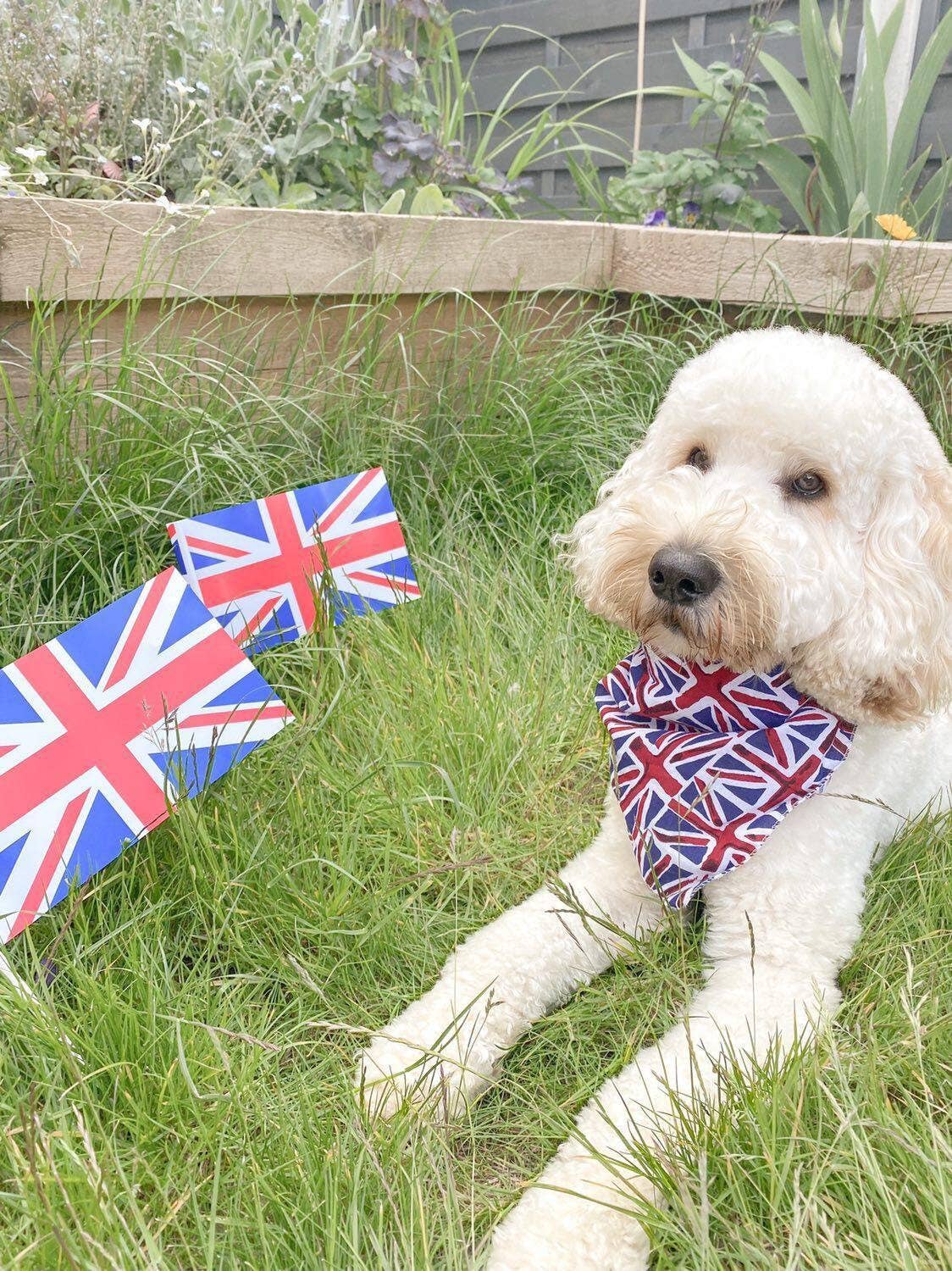 Pet Pooch Boutique - Vente Bandana – chien - Bandana à nouer pour chien/chiot Union Jack - Fait main8