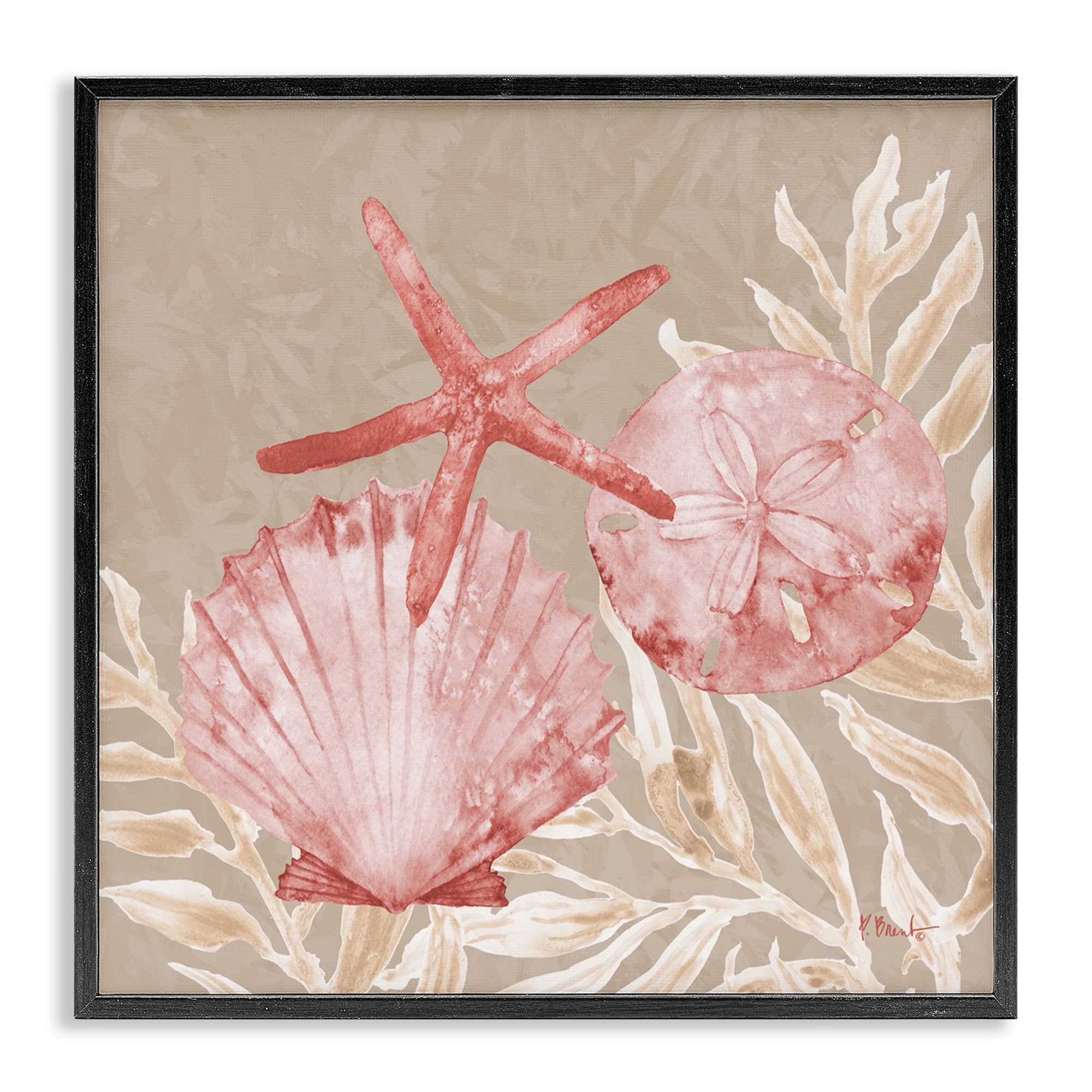 Stupell Industries - Vendita all'ingrosso Cartello da parete - Conchiglie di Tampico e Stelle Marine - Arte da Parete Incorniciata0