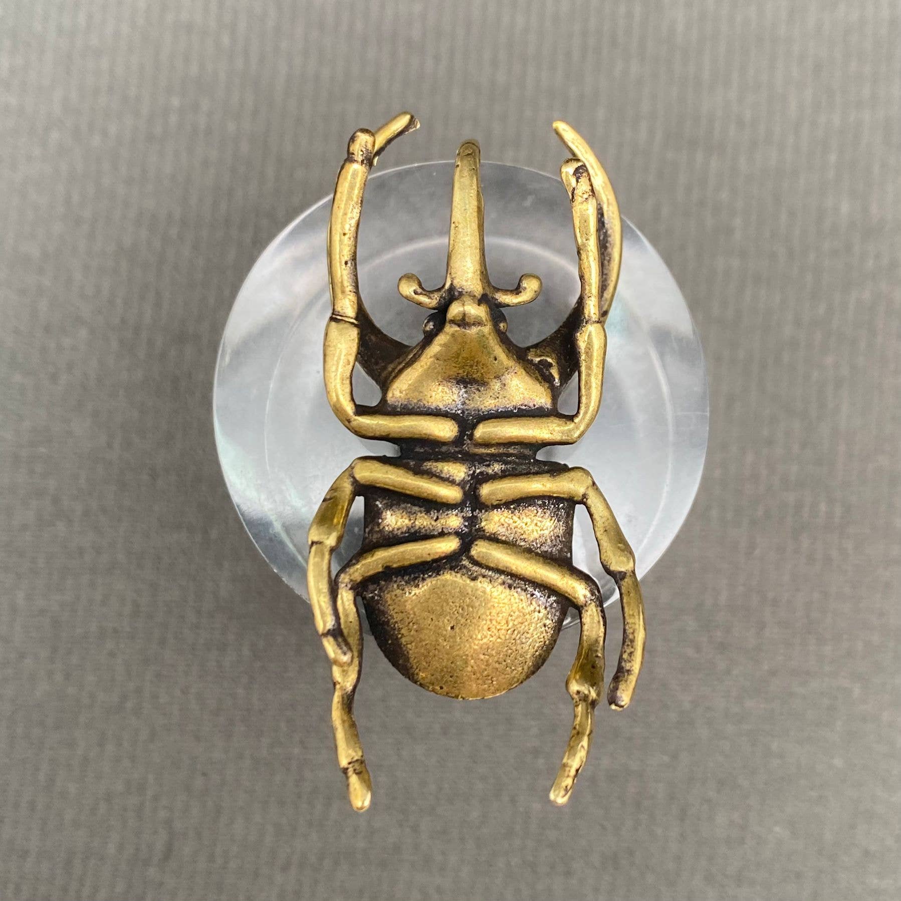 Mio Queena - Wholesale Decorative figurine - Brass Rhinoceros Beetle Crafts Desktop Ornaments Decoration2