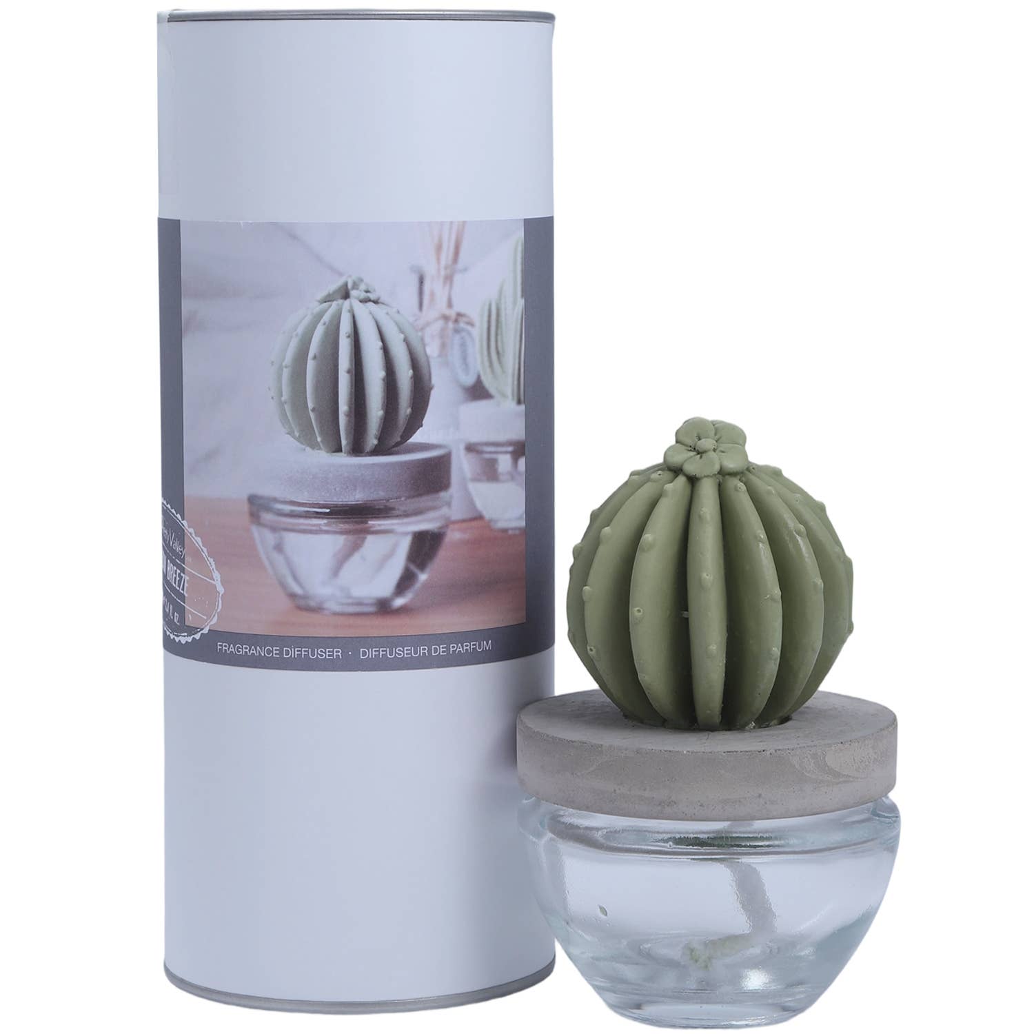 Pretty Valley Home - Vente Diffuseur à tiges - Coffret Cadeau Diffuseur Céramique Cactus - 100ml/3.38fl oz pour Décoration13