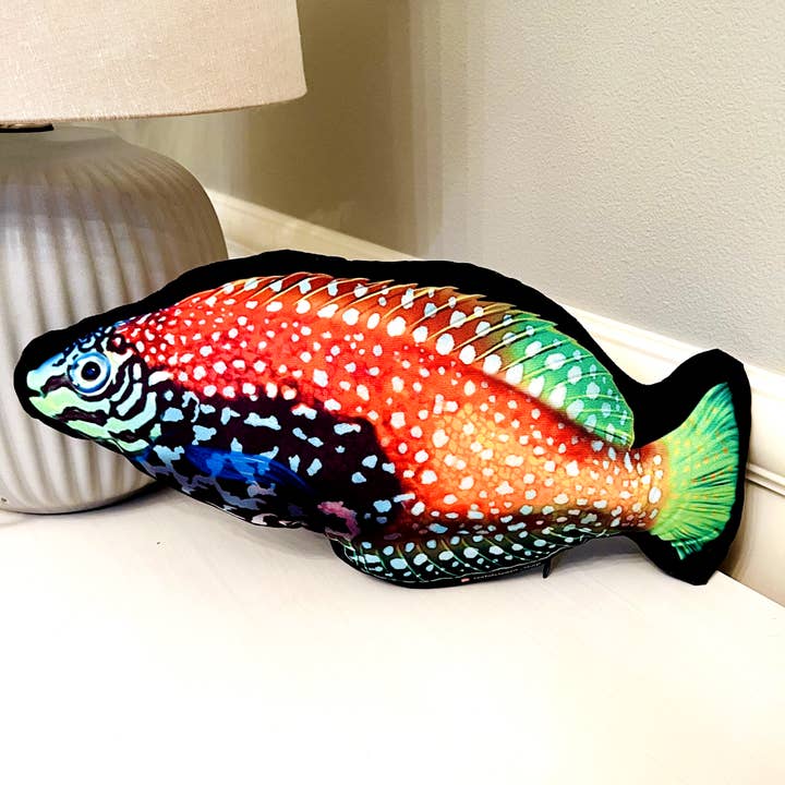 Blue Star Leopard Wrasse Pillow for wholesale by Reef of Clowns