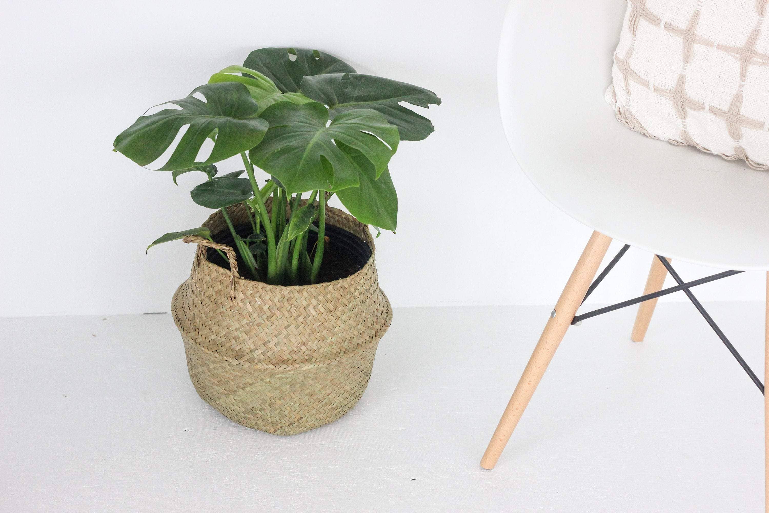 Sprout & About - Wholesale Plant Pot - Woven Seagrass Belly Basket Planter4