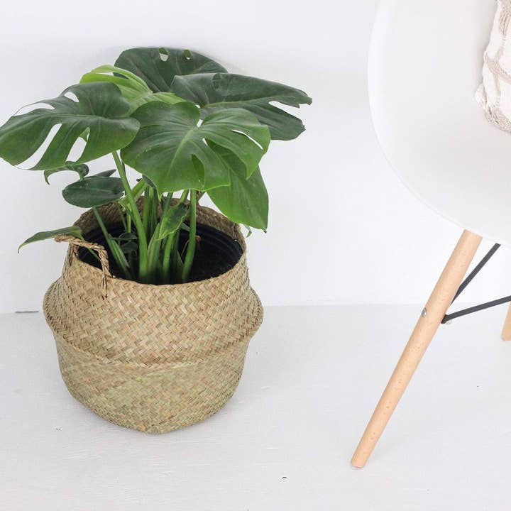 Sprout & About - Wholesale Plant Pot - Woven Seagrass Belly Basket Planter4