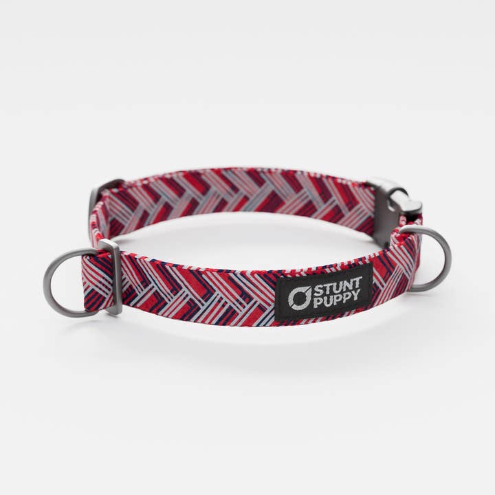 New England Paw-triots Everyday Collar for wholesale by Stunt Puppy