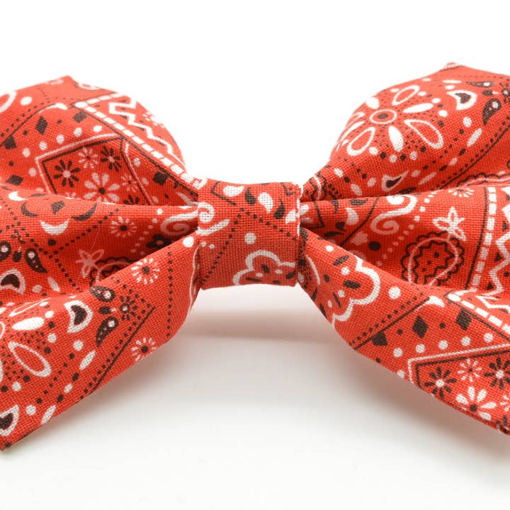 Nœud à nœud bandana rouge pour la vente par Dog Collar World