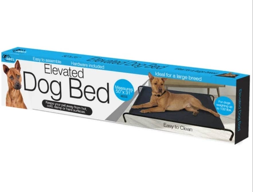 Bunty foldable on sale elevated dog bed