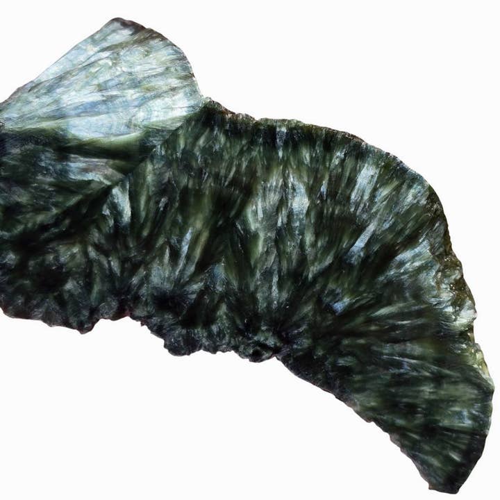 Seraphinite - Endcut Cut & Proven Green Feather Chatoyance Collector’s Piece for wholesale by Lapidary Central