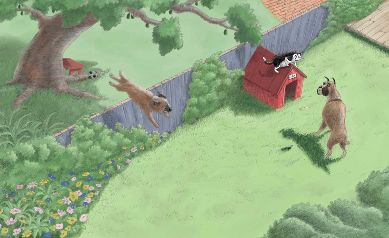 Simon & Schuster - Wholesale Pets - Fuddles and Puddles by Frans Vischer4