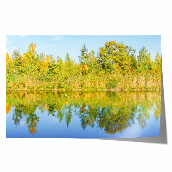 Été indien | Tirage photographique d'art pour la vente par Natasha Riha Photography