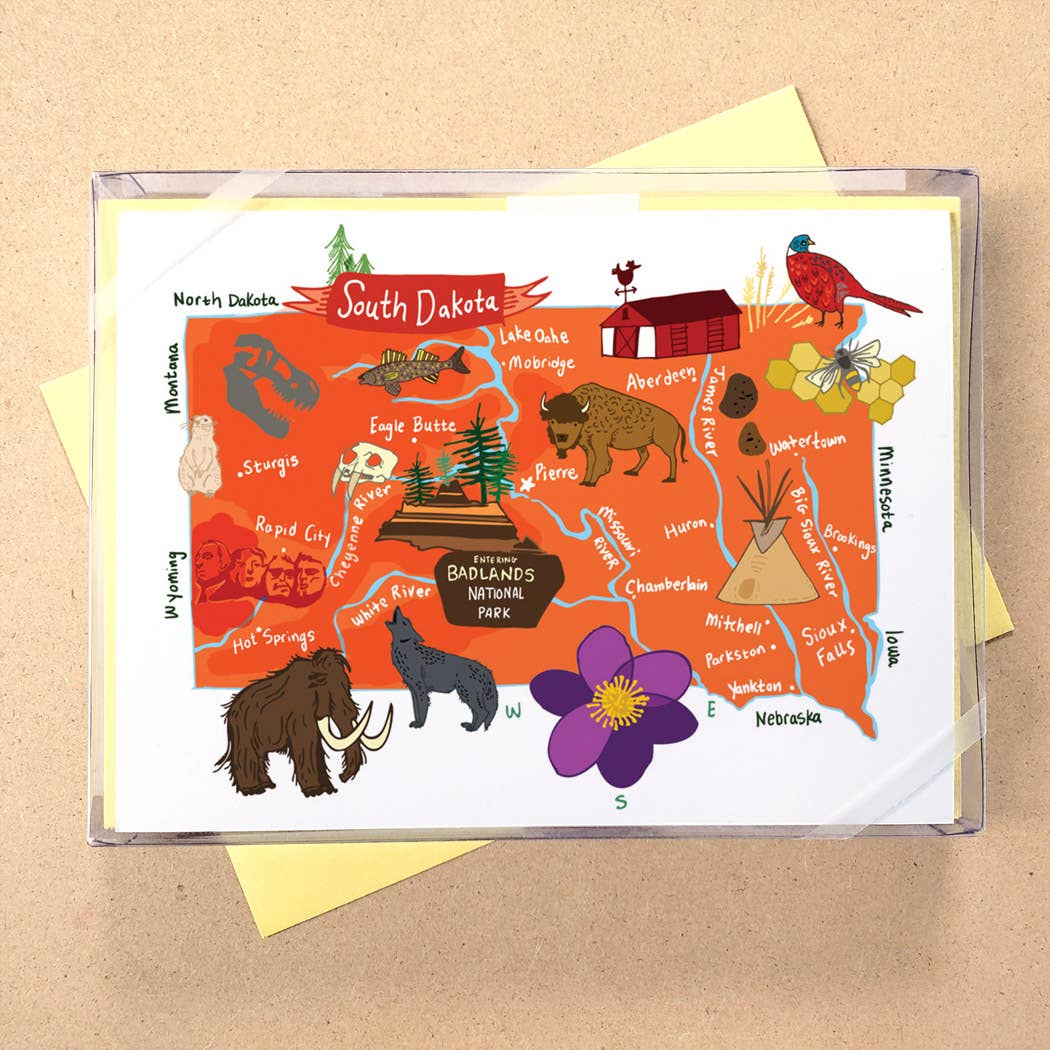 Allport Editions - Wholesale Briefpapier/indexkaartenset - Hallo USA Boxed Card-serie - ALLE 50 STATEN HIER!2