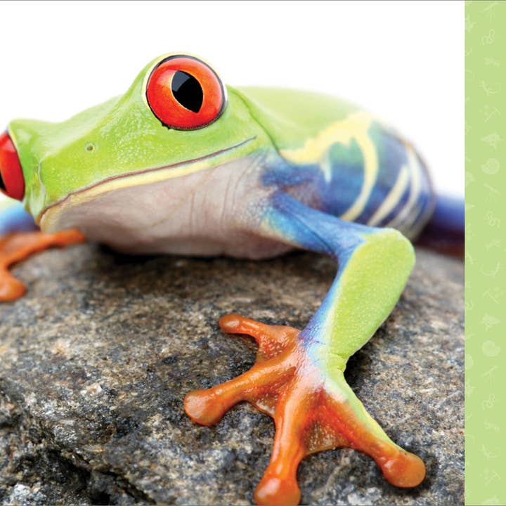 Sourcebooks - Wholesale Science & Math - Reptiles for Kids2