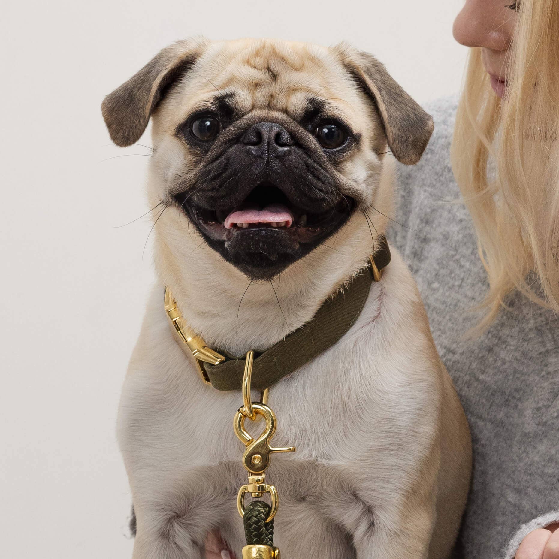 The Foggy Dog - Wholesale Pet Collar - Dog - Olive Dog Collar3