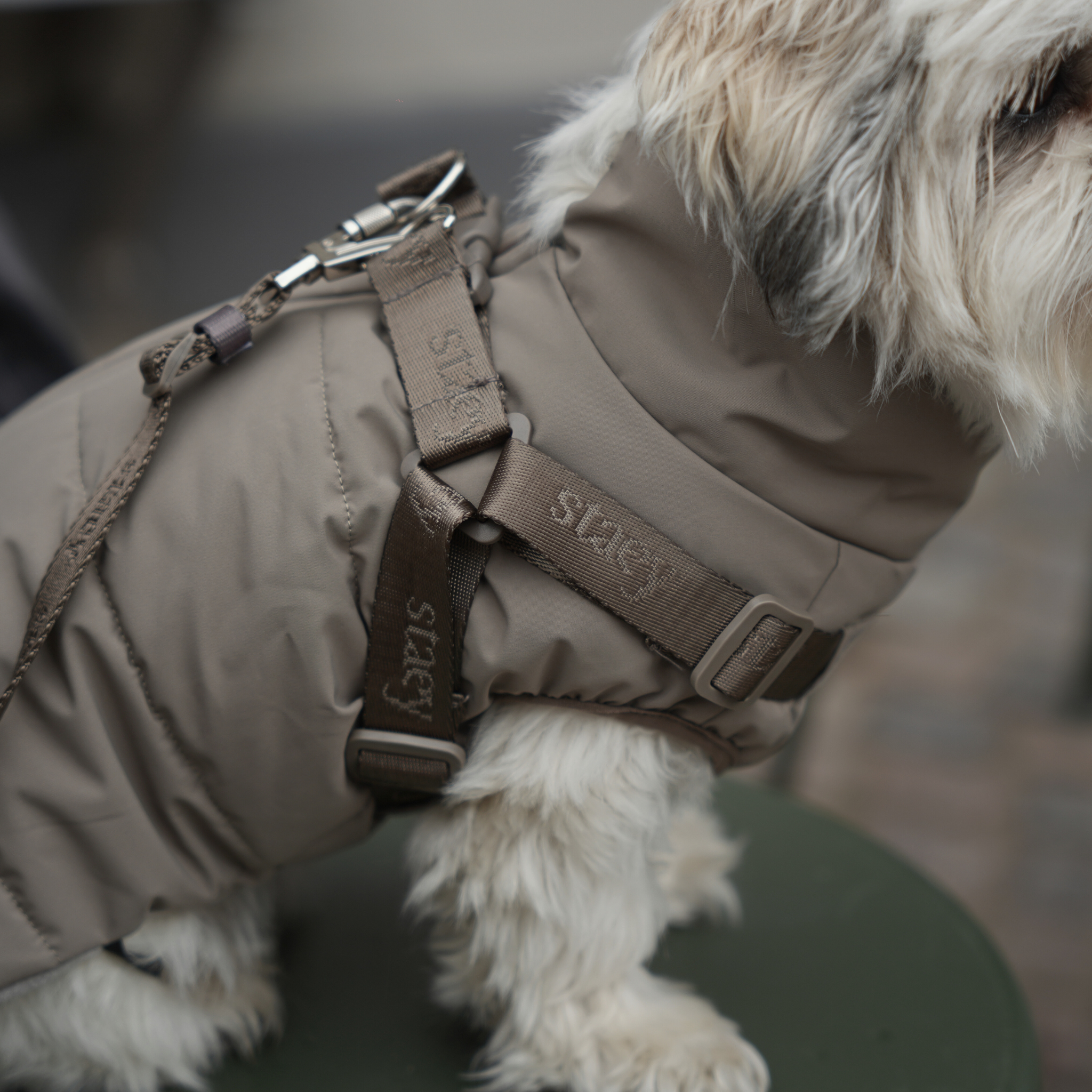 Staey - Wholesale Pet Coat - Dog - Vera Dog Coat with Harness | Sage5