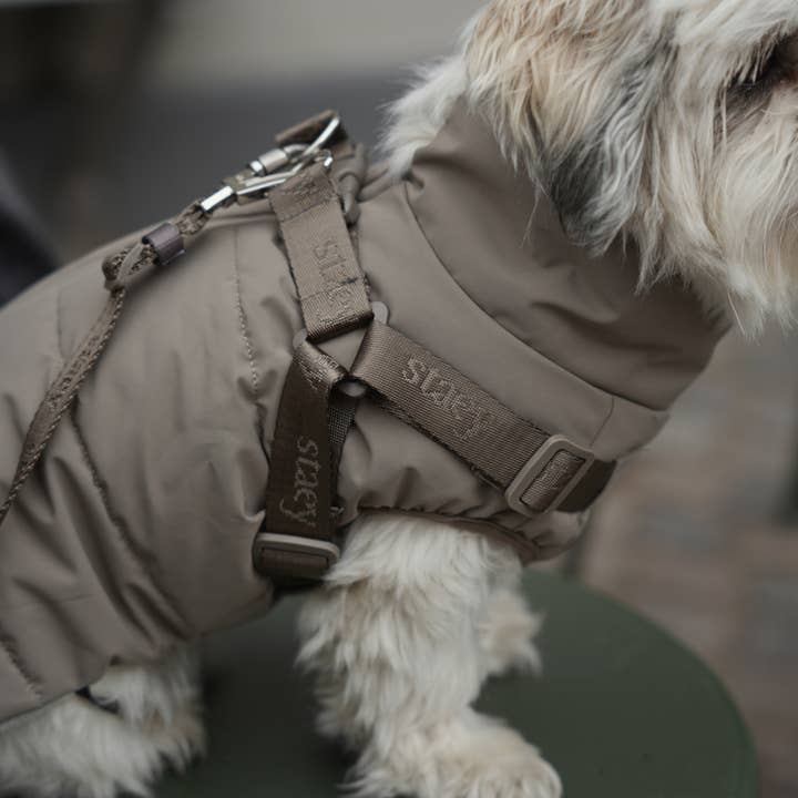 Staey - Wholesale Pet Coat - Dog - Vera Dog Coat with Harness | Sage5
