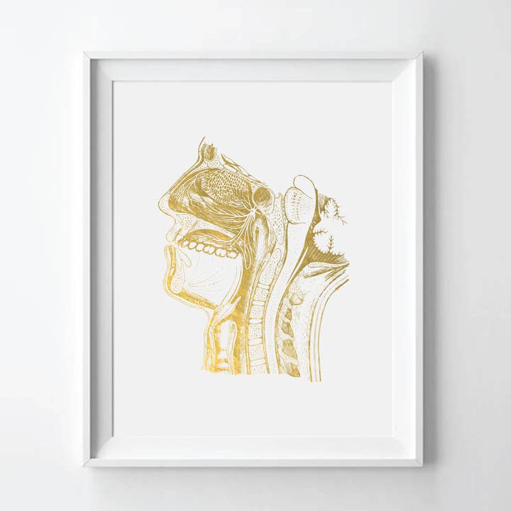 Menschlicher Mund und Kehlkopf Anatomie Goldfolie Kunstdruck für den Großhandel von Uyeno Miyoshi