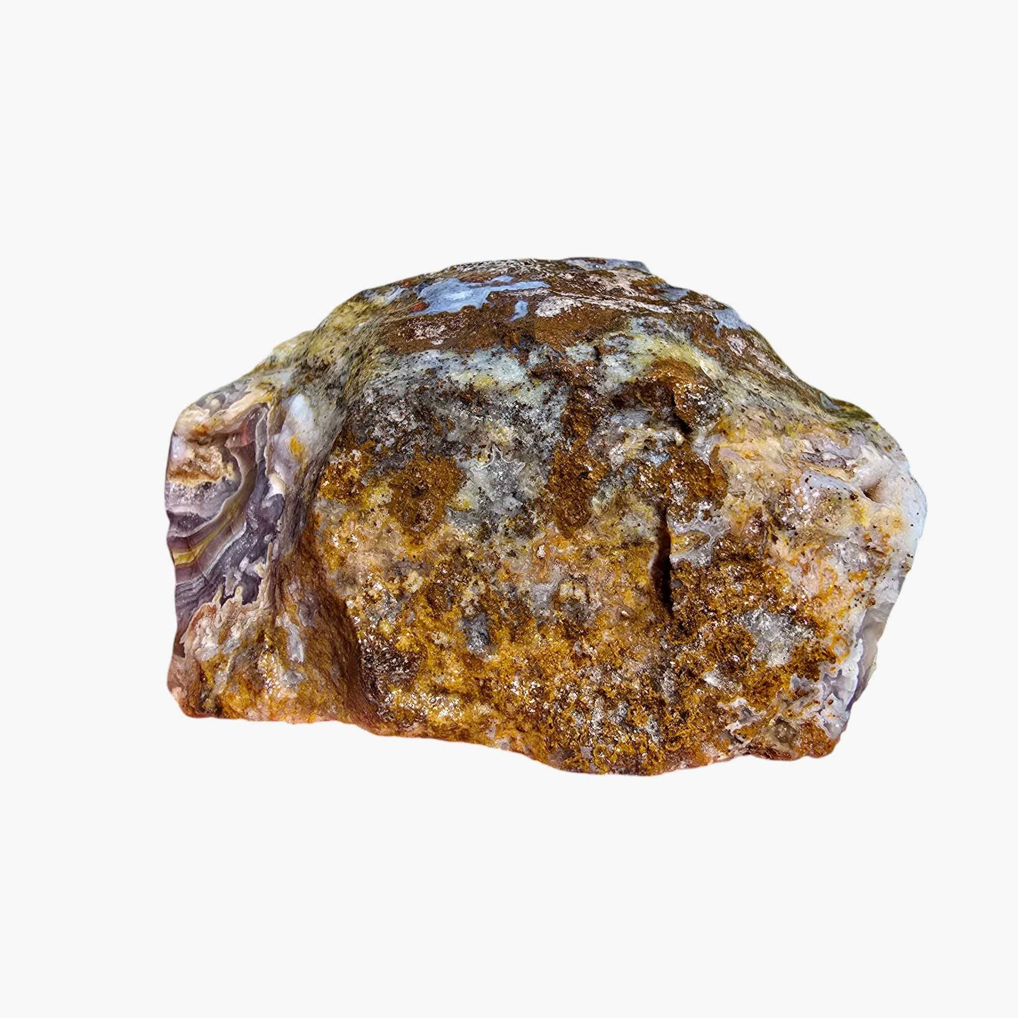 Lapidary Central – wholesale Andlig sten/kristall – Agua Nueva Agat Nytt Vatten Agat Rå Bit7