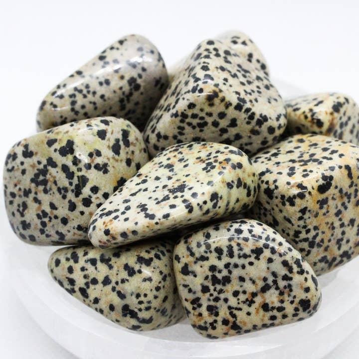 Quasar Gems USA - Wholesale Spiritual Stone/Crystal - Dalmatian Jasper Tumbled 30-45mm 1KG