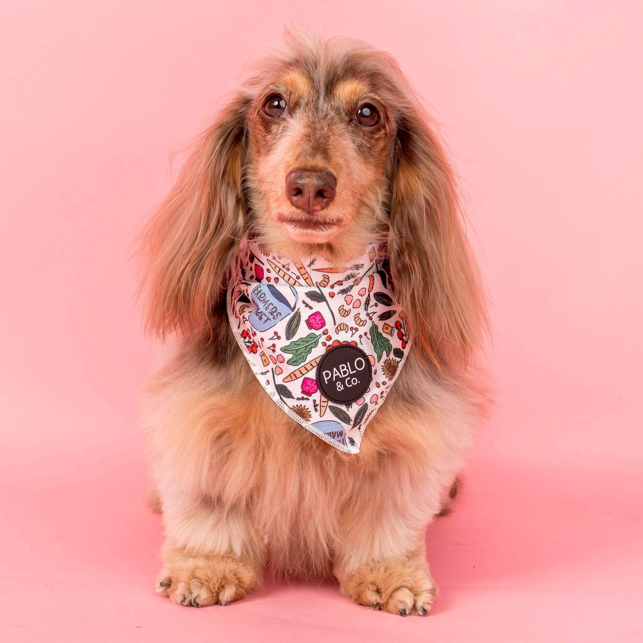 Pablo & Co. Boutique - Wholesale Pet bandana – Dog - Farmers Market: Dog Bandana0