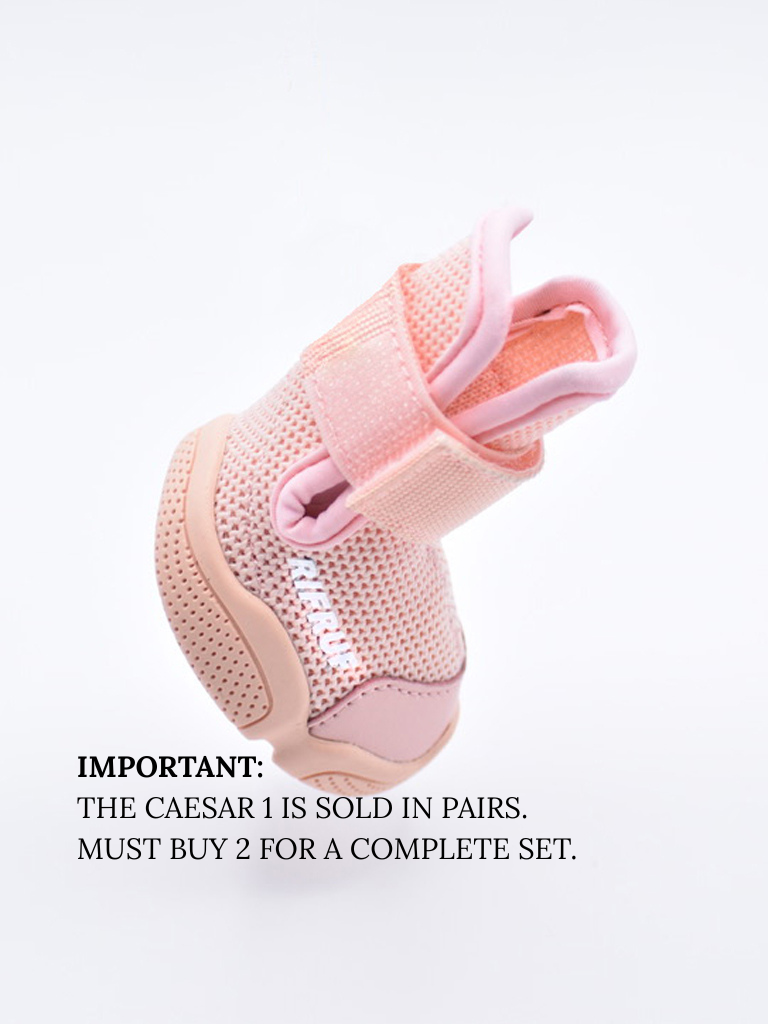 RIFRUF - Vente Bottines – chien - César 16