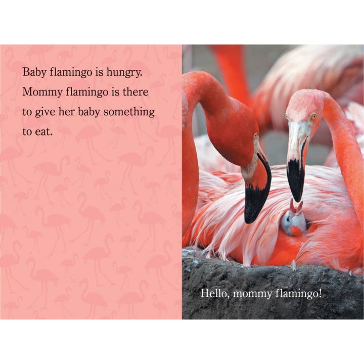 Simon & Schuster - Wholesale Book - Kids - Hello, Mommy ZooBorns! by Andrew Bleiman