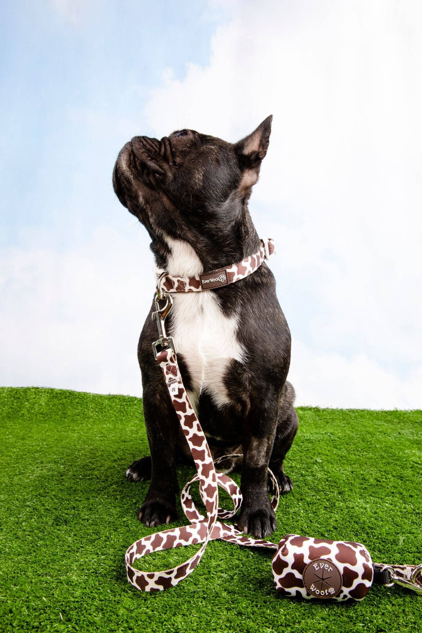 EverWoof - Venta al por mayor Correa - Perros - Correa Vaca Chocolate1