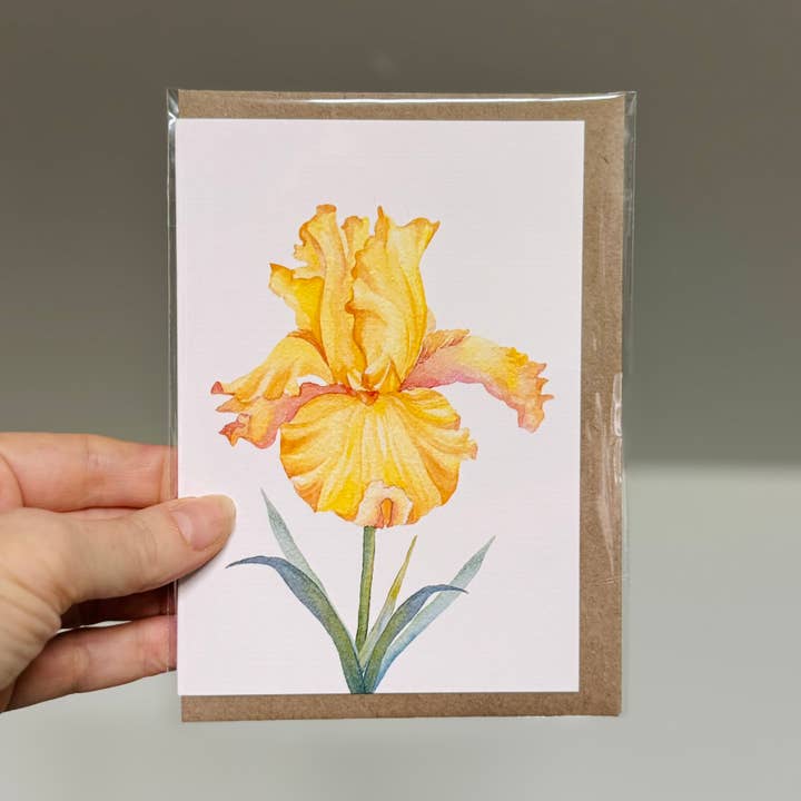 Scattered Seed Co - Wholesale Stationery/notecard set - IRIS greeting cards set of 4 Mini or Regular size10