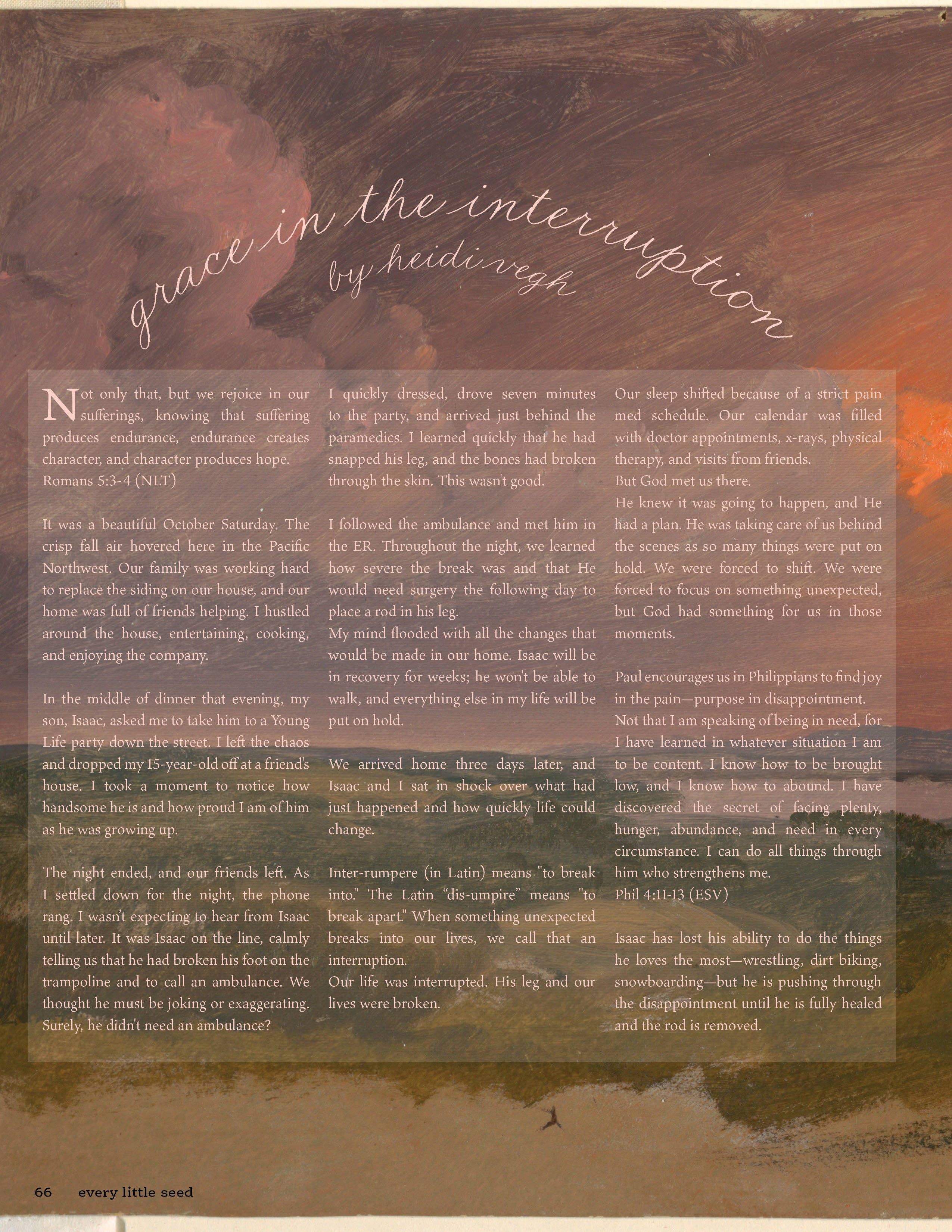 Every Little Seed - Wholesale Magazine - Interruptions7