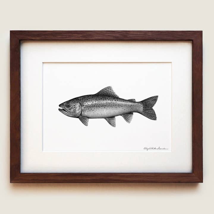 Rainbow Trout | Fine Art Print for wholesale by ElizabethAnnFrancis