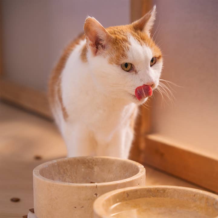Kiwano Concept - Wholesale Pet Bowl - Cat/Dog - TRAVERTINE PET BOWL SET4