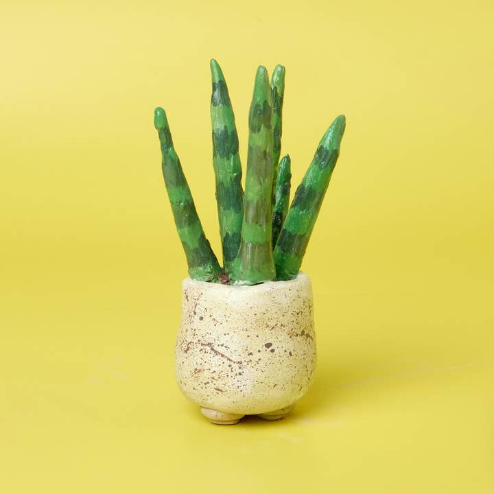 Pott'd – wholesale DIY craft kit – Succulent Sculptures5