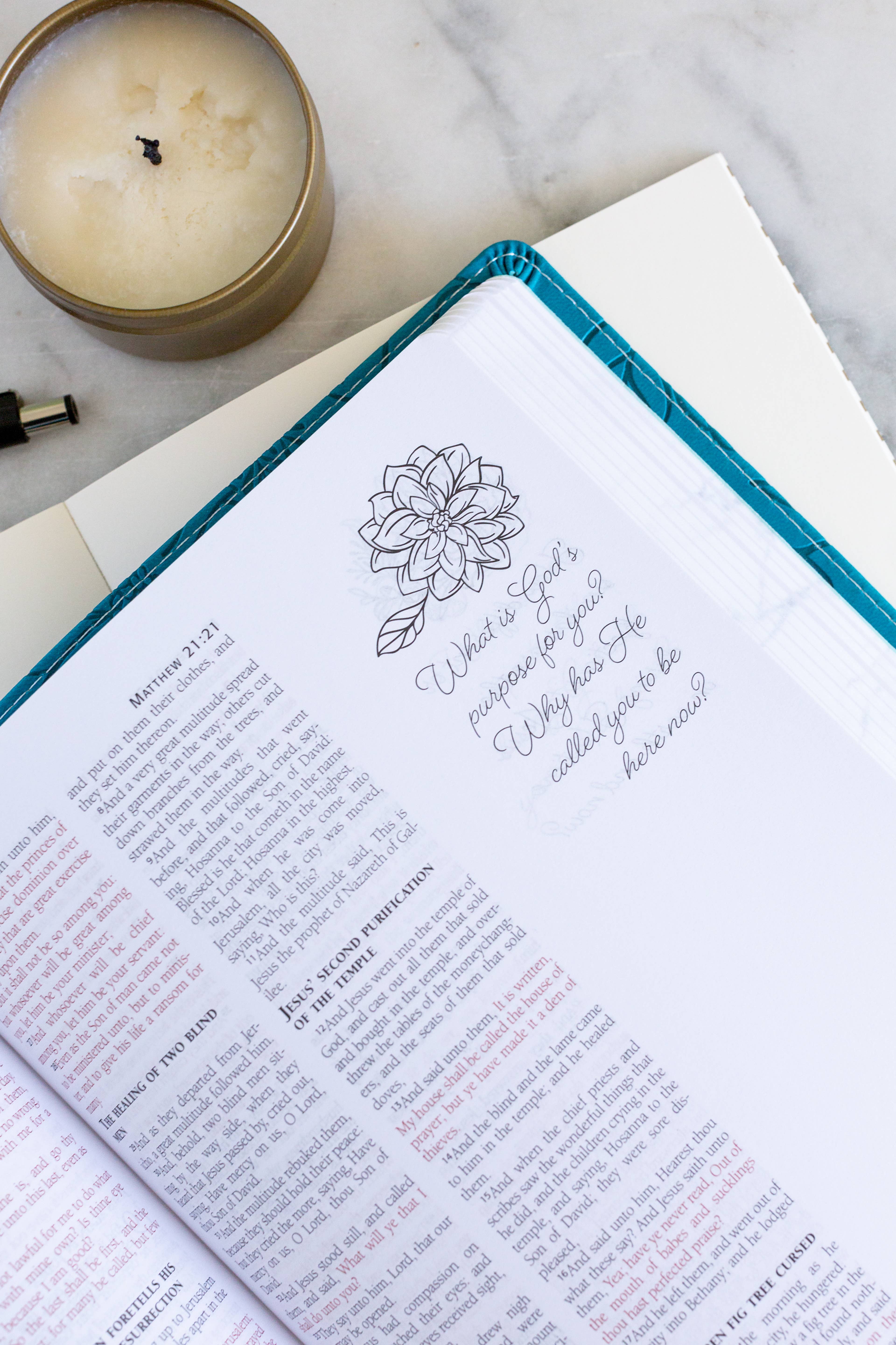 Barbour Publishing, Inc. - Wholesale Religion - Personal Reflections Kjv Bible With Prompts7