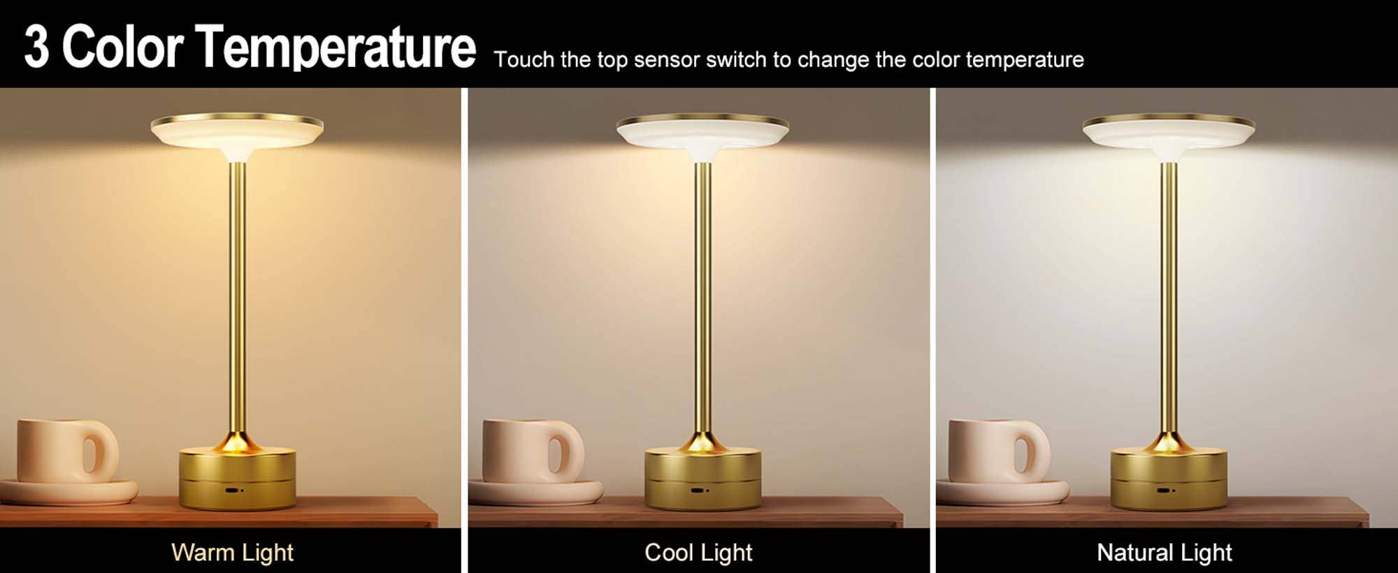 LAX Gadgets - Wholesale Accent/Desk Lamp - LED Table Lamp – Touch Control, Dimmable, Rechargeable24