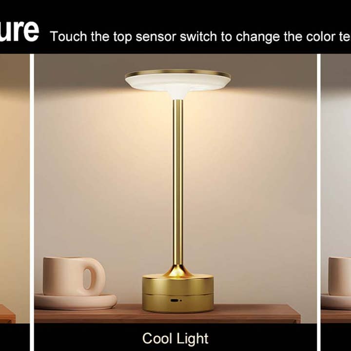 LAX Gadgets - Wholesale Accent/Desk Lamp - LED Table Lamp – Touch Control, Dimmable, Rechargeable24