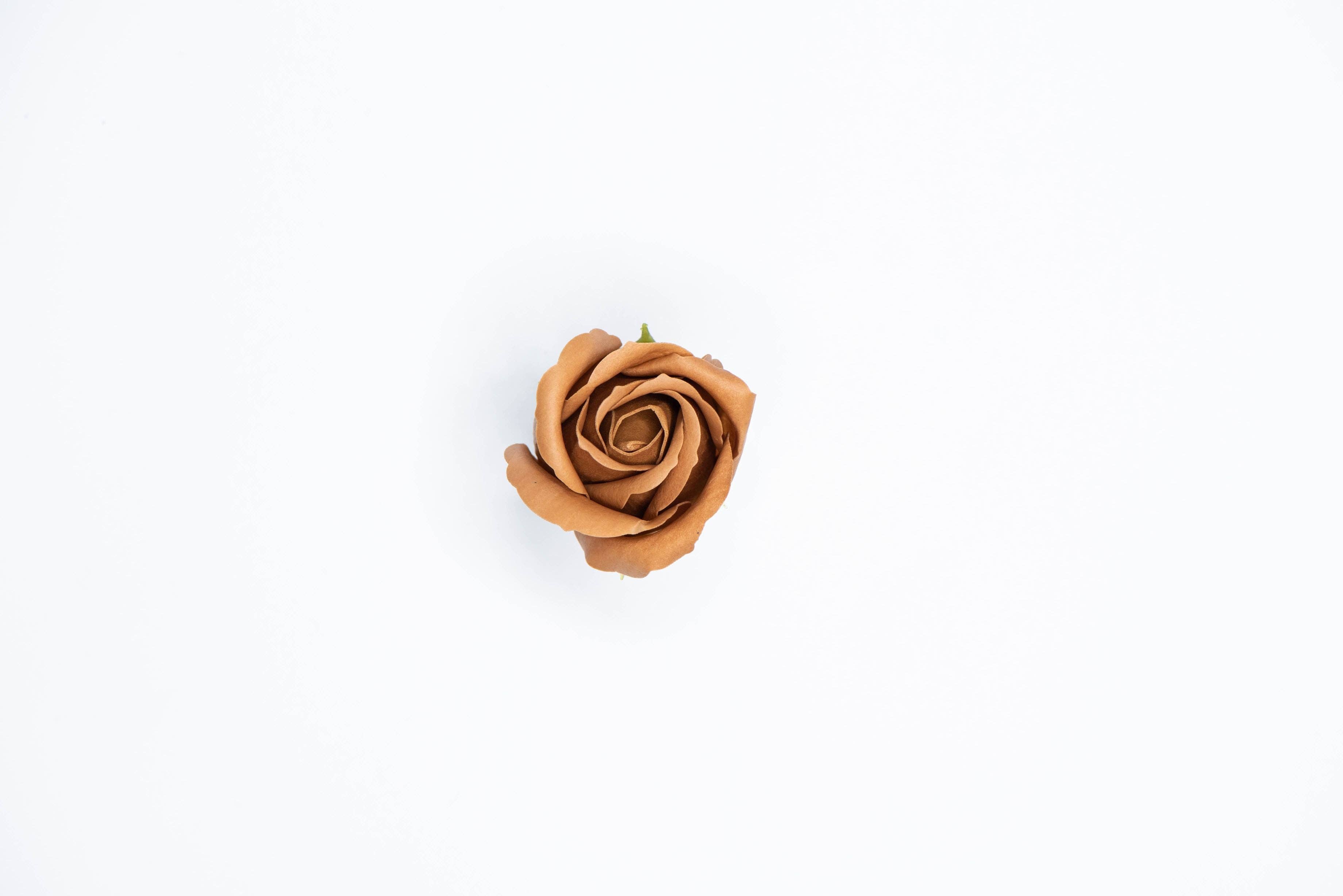 Billion Roses by Blanche - Wholesale Artificial Flowers - Große und Weiße Box mit Ewigen Rosen7