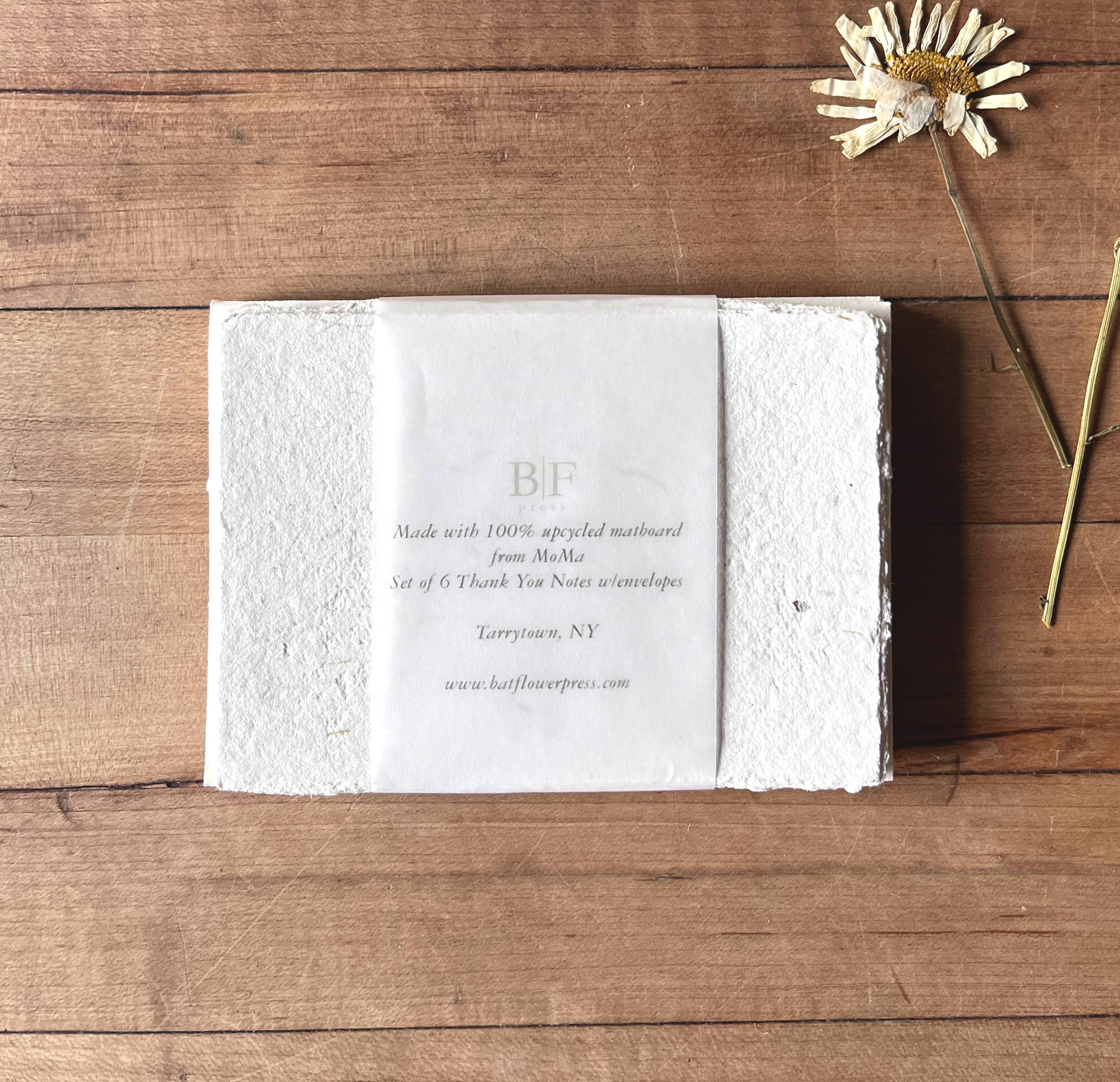 Bat Flower Press - Wholesale Stationery/Notecard Set - Handmade thank you notecards set of 63