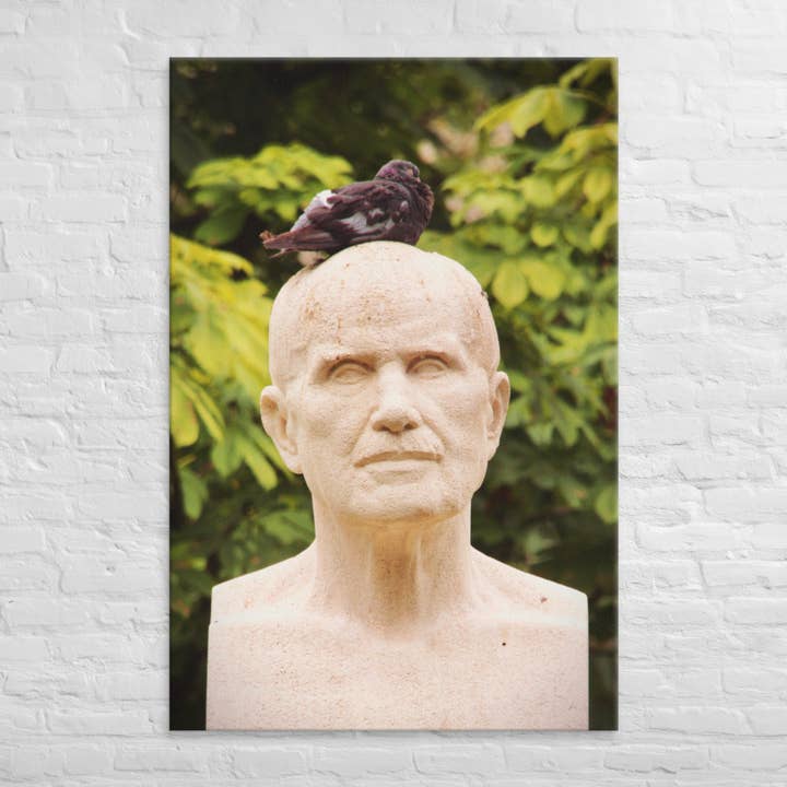 Lienzos Sleeping Thoughts para venta al por mayor de Monmouth Paragon