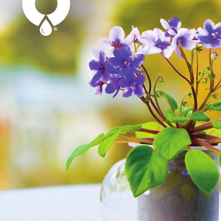 CUP O FLORA® - Vente Présentoir – maison et déco - Présentoirs de magasin Cup O Flora1