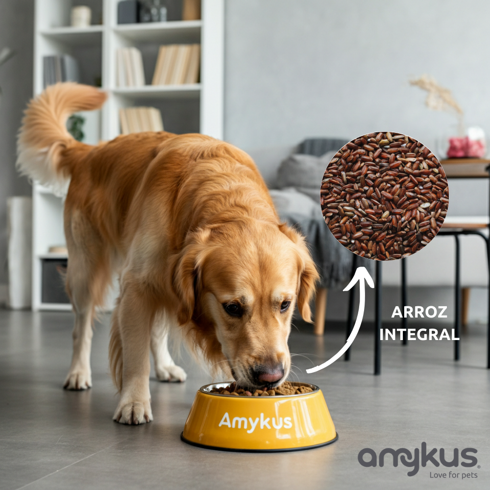 Amykus - Wholesale Pet food – Dog - Amykus Original Vegan - Food for dogs with a vegan diet4