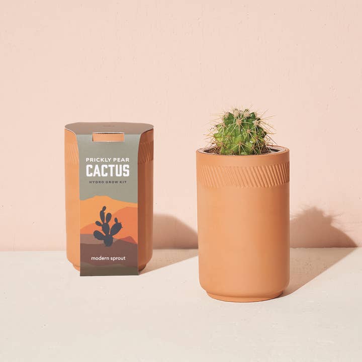 Modern Sprout - Wholesale Plant Seeds - Terracotta Grow Kit
