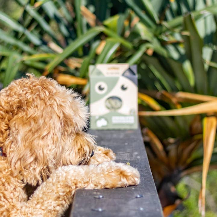 The Golden Bone Bakery - Wholesale Pet treats – Dog - Fresh Breath & Strong Eyes Dog Treats with Mint3