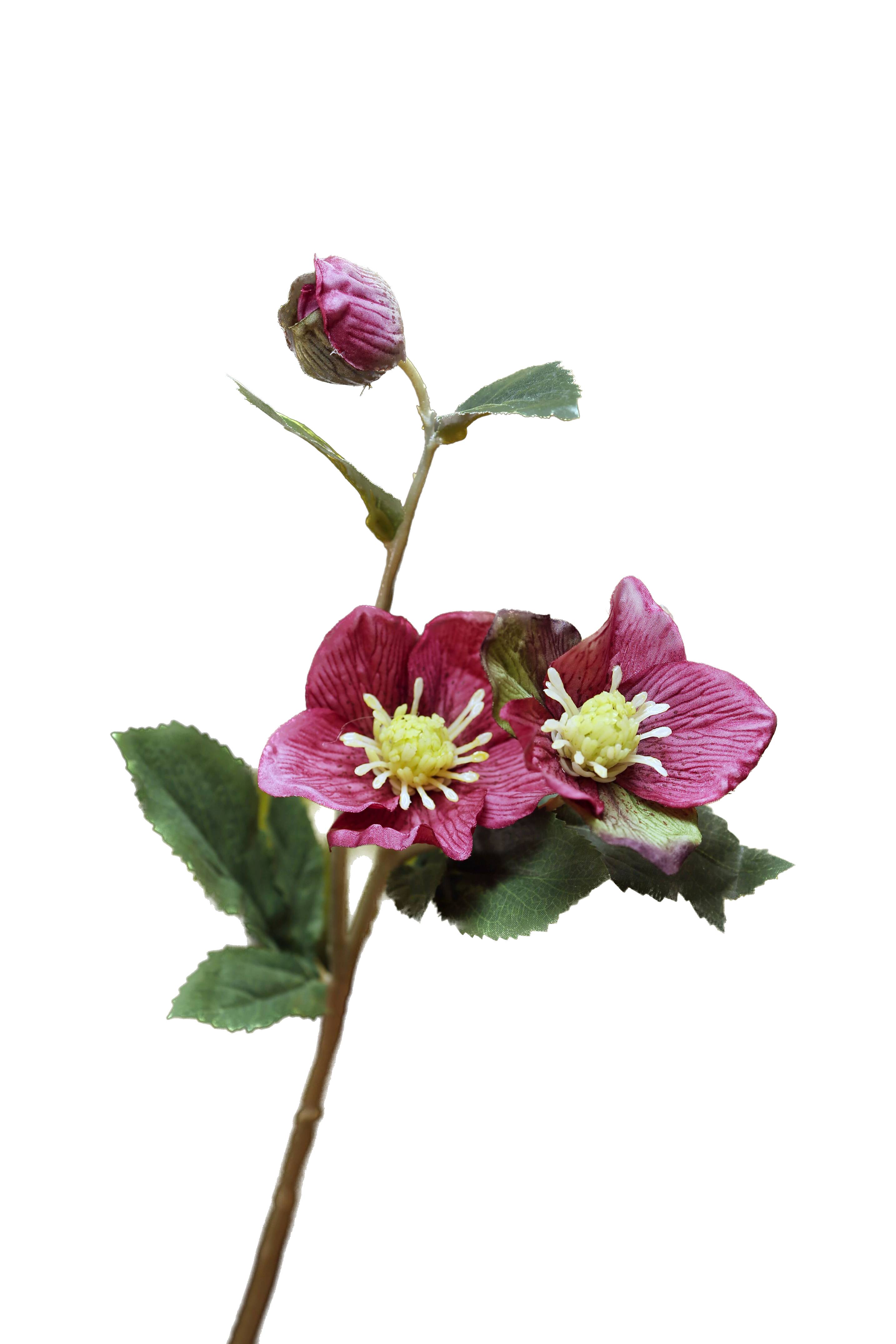 Mezu Silk Flowers - Wholesale Kunstbloemen - Kunstmatige donkerroze hellebores2