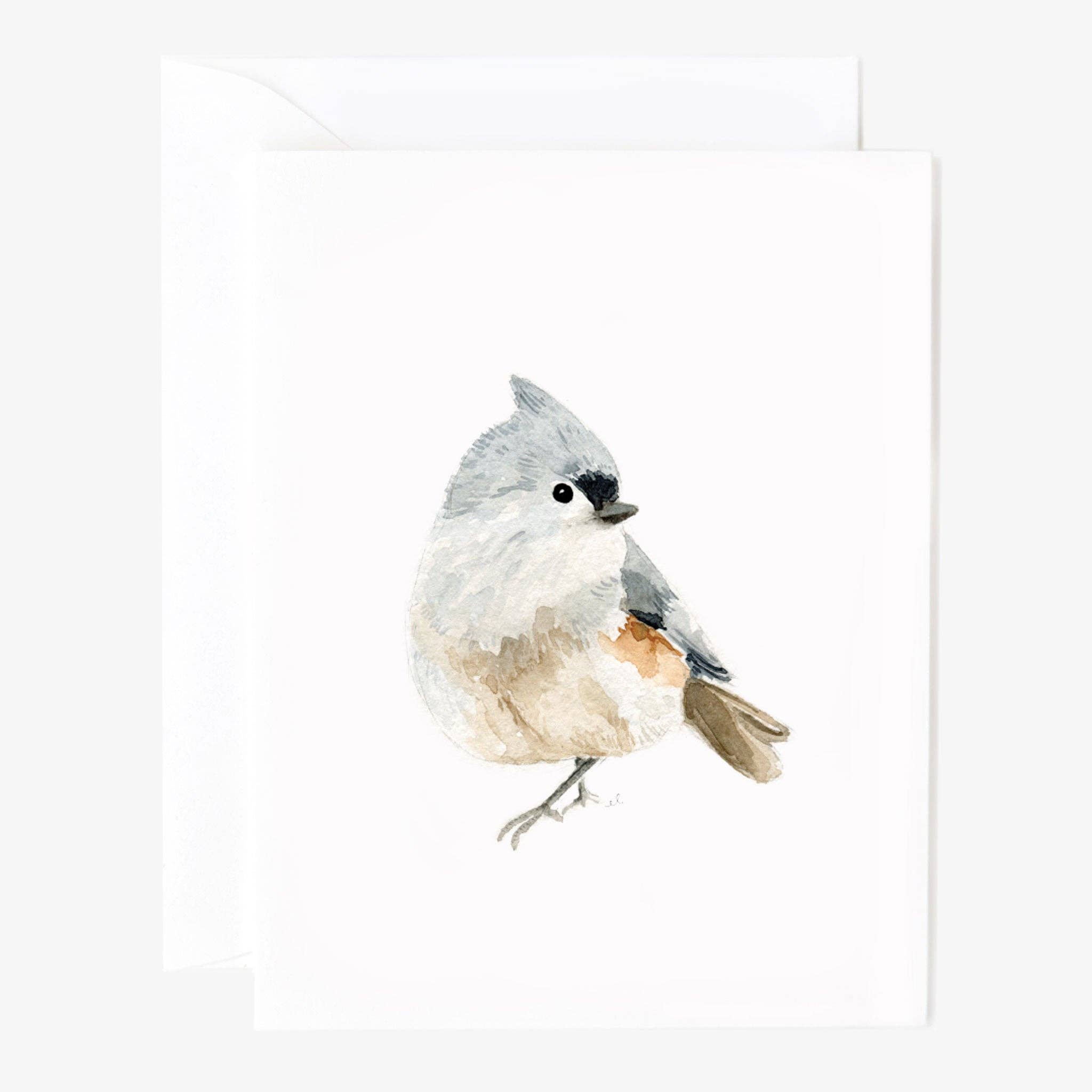 emily lex studio - Wholesale Stationery/Notecard Set - birds assorted notecard set3