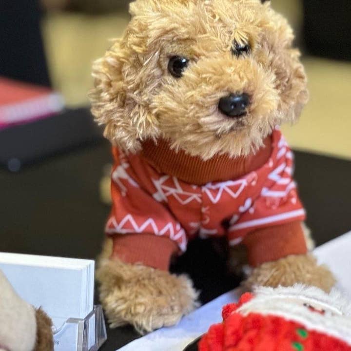Sassy Pup LLC - Wholesale Pet Pajamas - Dog - Rustic Holiday Dog Pajamas for Small Dogs