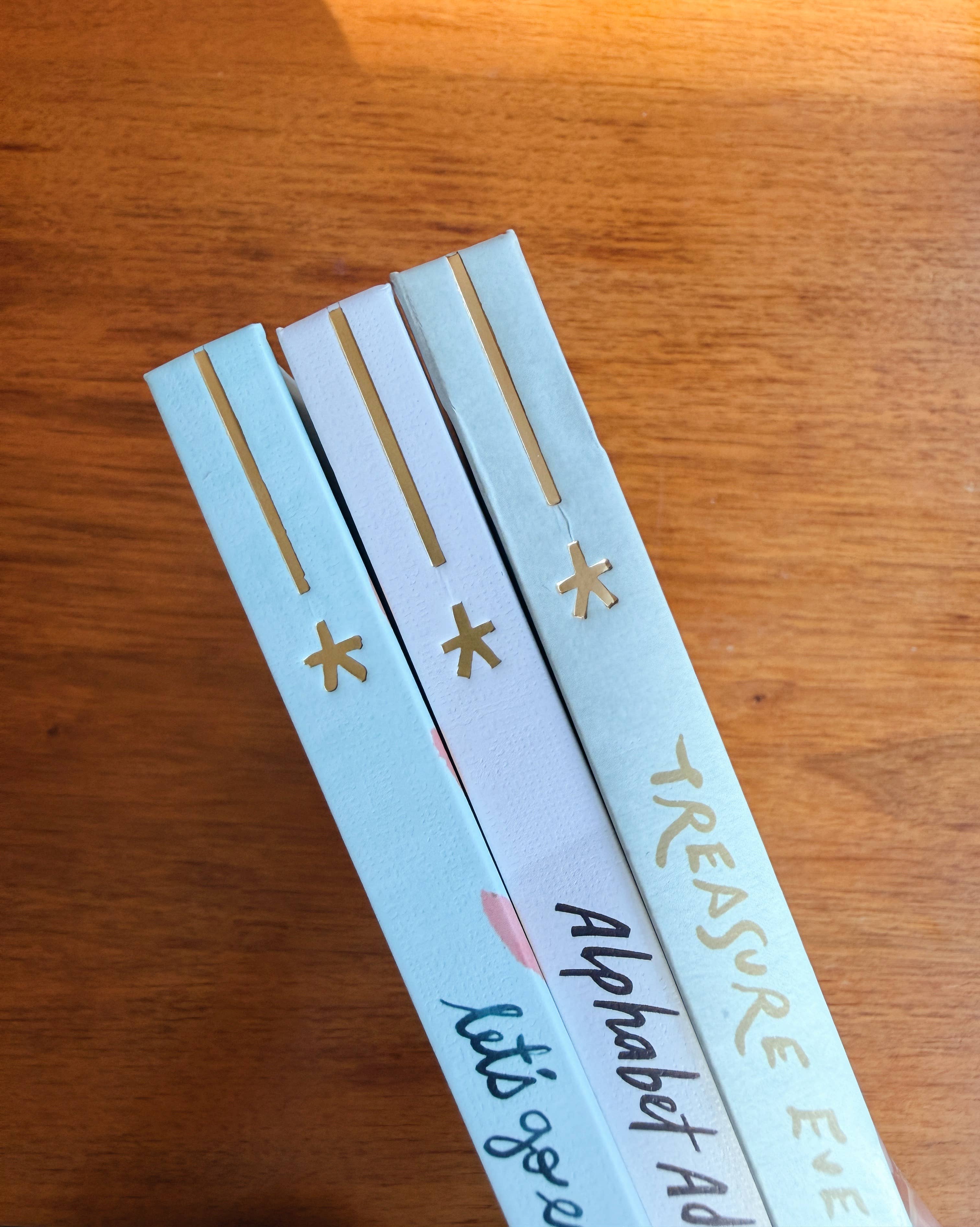 Mimochai – wholesale Pre-school book (3–5) – Treasure Everywhere Book PRE-ORDER ✨ 2