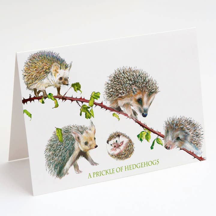 A Prickle Of Hedgehogs Collective Noun Greetings Card for wholesale by Sarah Gregory Designs